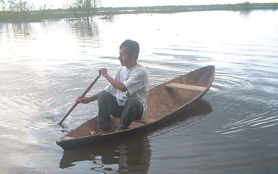 Source for Original Dugout Canoes From The Amazon Rainforest