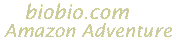 banner,am,lt.gif (869 bytes)